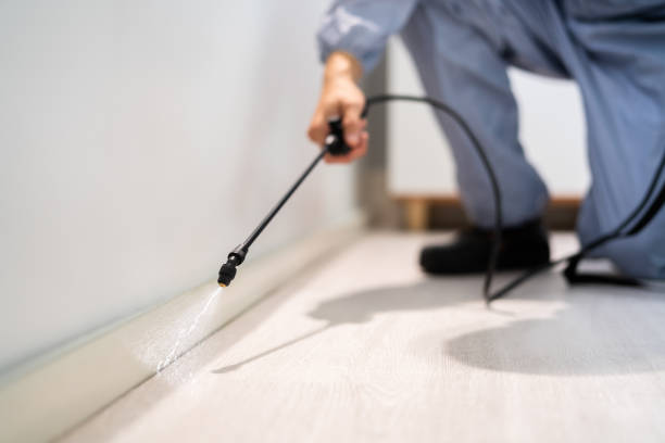 Licensed Mosquito Control service in Luverne, AL - Show Me Pest Control