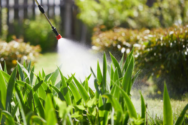 24/7 Emergency Mosquito Control experts in Luverne, AL