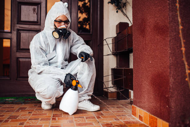 Reliable Mosquito Control contractor in Luverne, AL by Show Me Pest Control